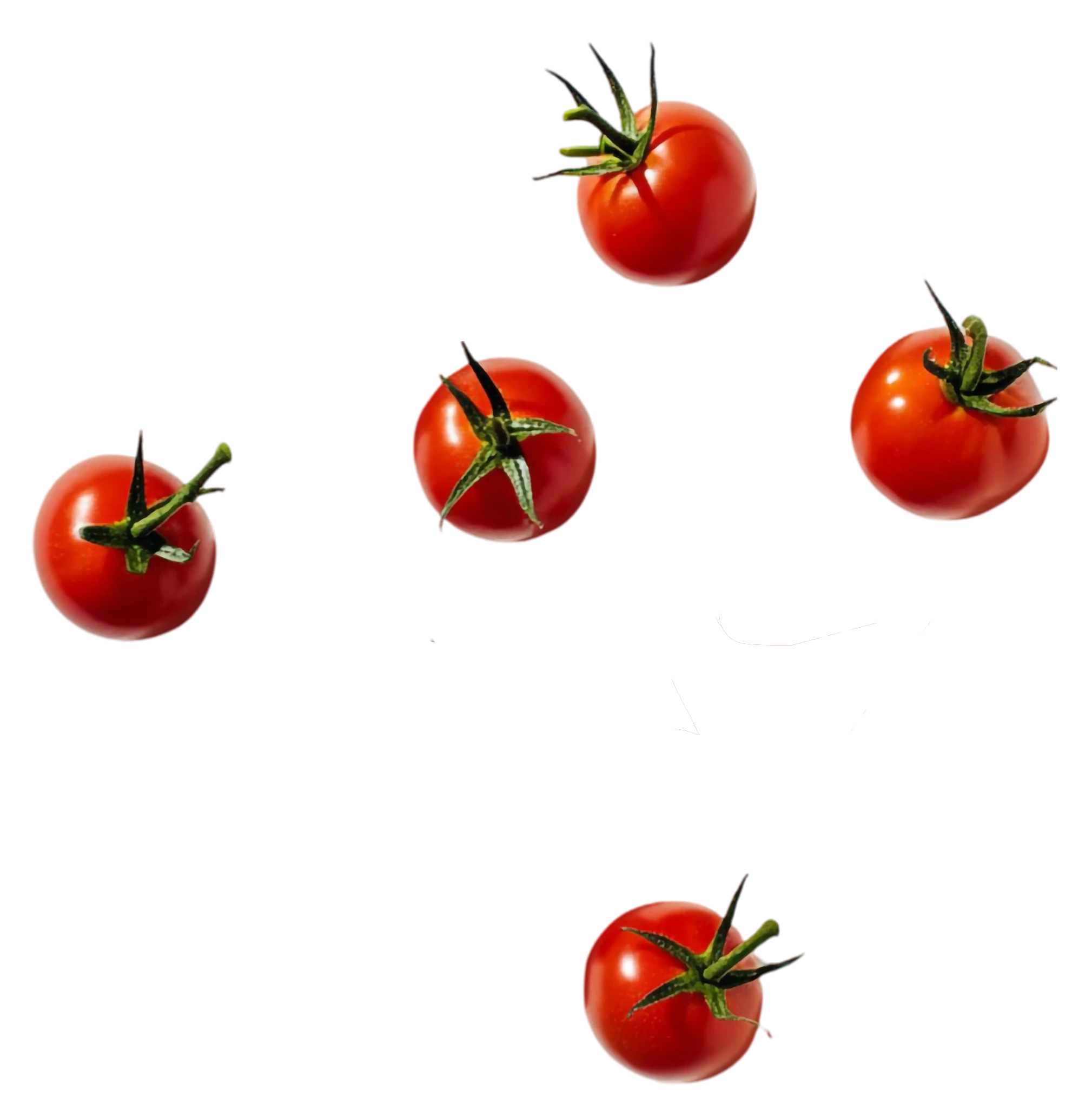 tomaten3